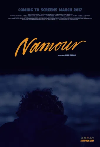 namour 2016 poster