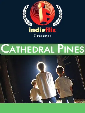 cathedral pines 2006 poster