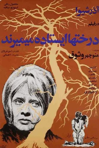 derakhtan istade mimirand 1971 poster