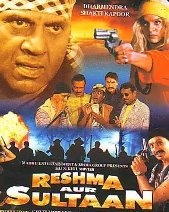 reshma aur sultaan 2002 poster