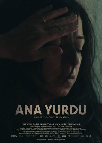 ana yurdu 2015 poster