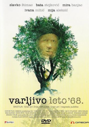 varljivo leto '68 1984 poster