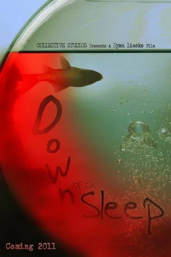 down to sleep 2011 poster