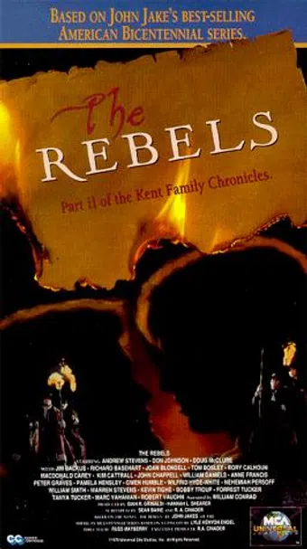 the rebels 1979 poster