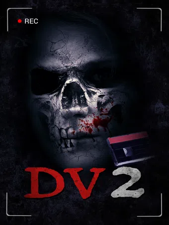 dv2 2013 poster