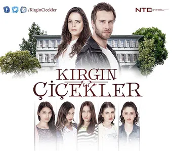 kirgin çiçekler 2015 poster