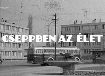 cseppben az élet 2019 poster