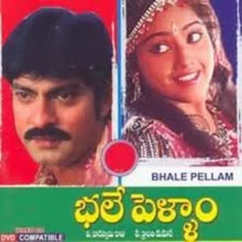 bhale pellam 1994 poster