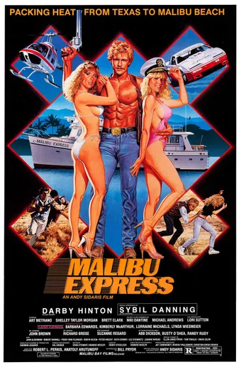 malibu express 1985 poster