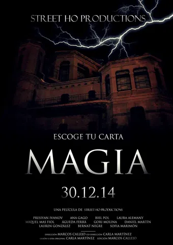 magia 2014 poster