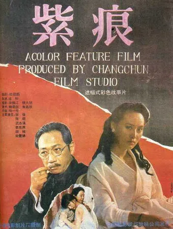 zi hen 1991 poster