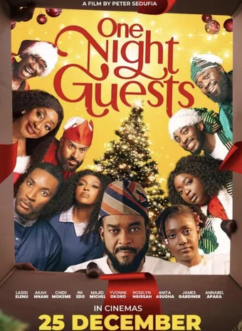 one night guests 2024 poster