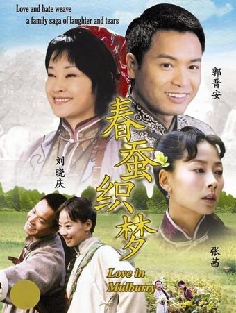 chun can zhi meng 2007 poster