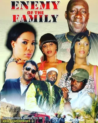 enemy of the family 2012 poster