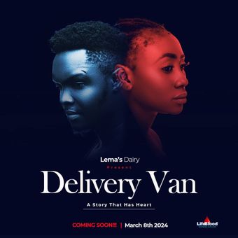 delivery van 2024 poster