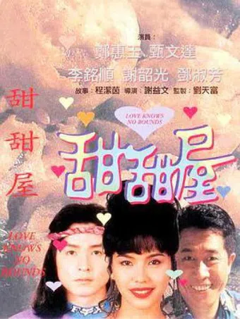 love knows no bounds 1995 poster