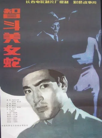 zhi dou mei nu she 1984 poster