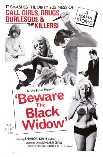 beware the black widow 1968 poster