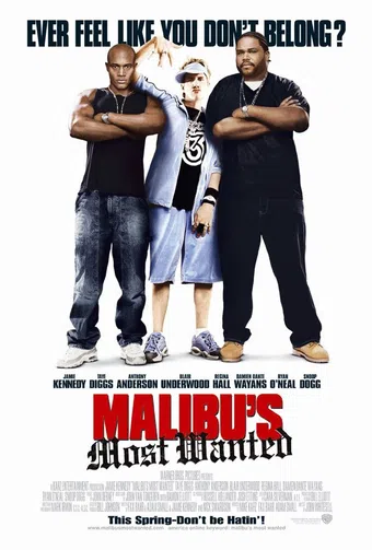 malibu's most wanted 2003 poster