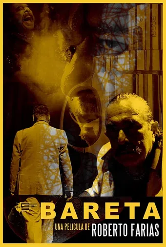 bareta 2013 poster