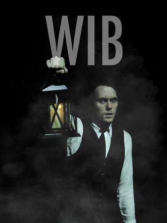 w.i.b. 2017 poster