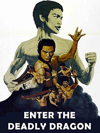 enter the deadly dragon 1978 poster