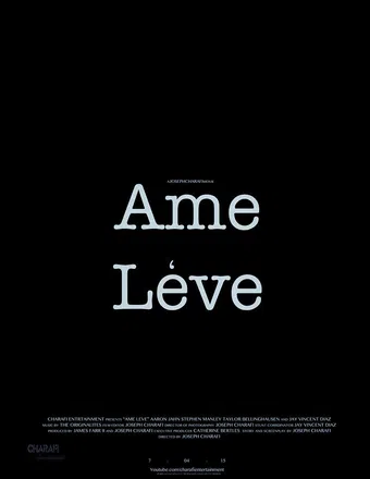 ame leve 2015 poster