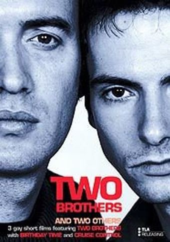 two brothers 2001 poster