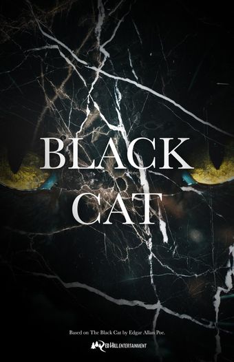 black cat poster