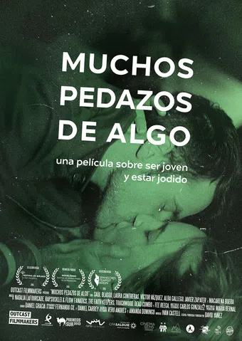 muchos pedazos de algo 2015 poster