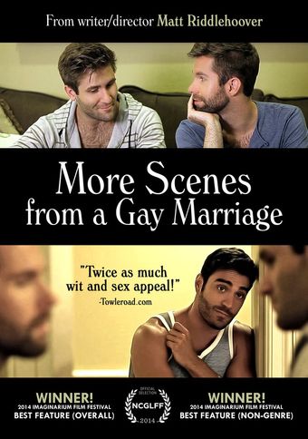 more scenes from a gay marriage 2014 poster