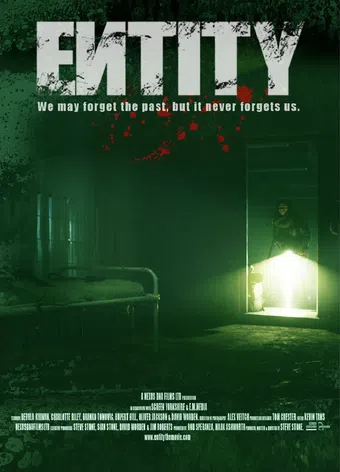 entity 2012 poster