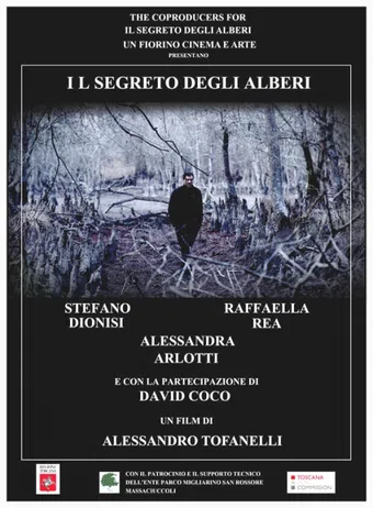 il segreto degli alberi 2012 poster