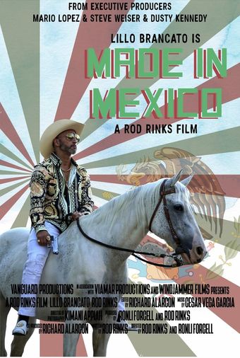 made in mexico 2021 poster