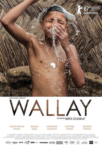 wallay 2017 poster