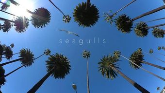 seagulls 2021 poster