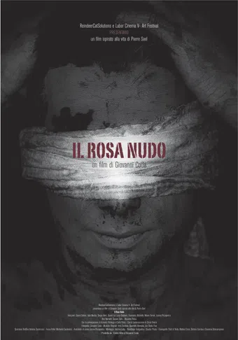 il rosa nudo 2013 poster