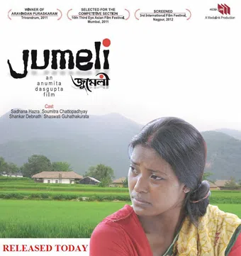 jumeli 2013 poster