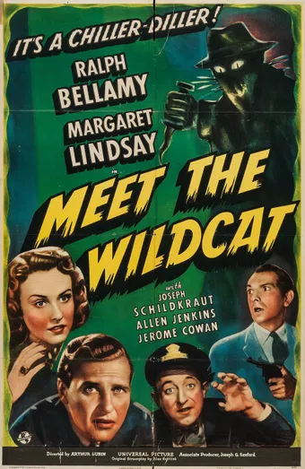 meet the wildcat 1940 poster