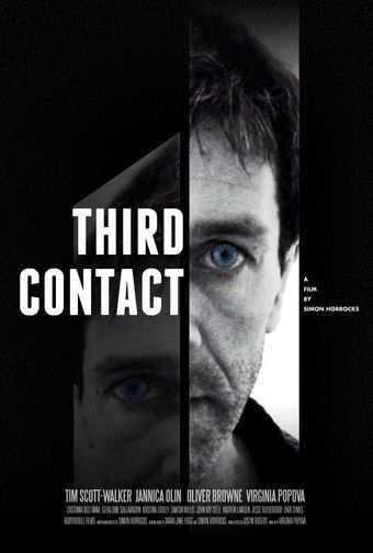 third contact 2013 poster