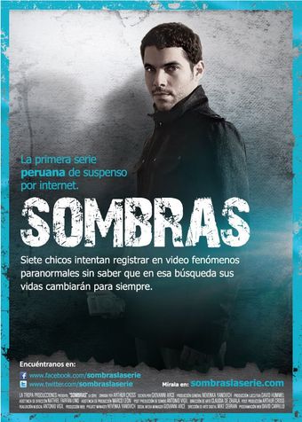 sombras 2011 poster