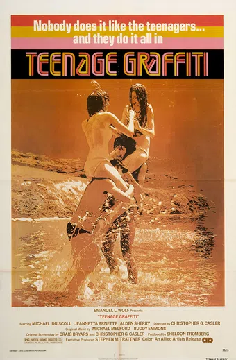 teenage graffiti 1977 poster