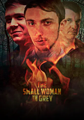 the small woman in grey 2017 poster