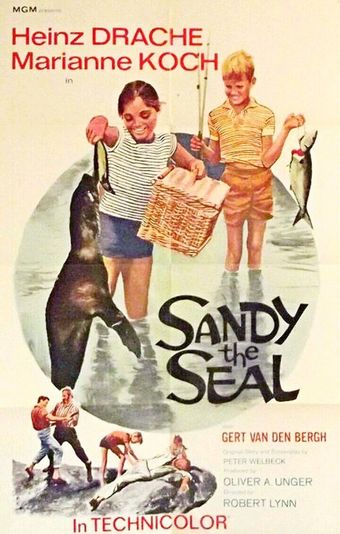 sandy the seal 1965 poster