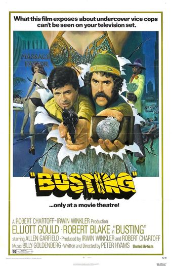 busting 1974 poster