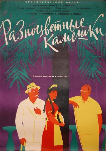 raznotsvetnyye kameshki 1960 poster