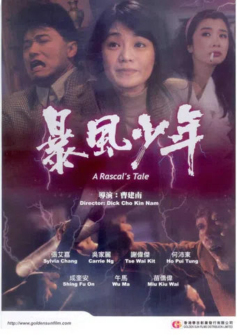 bao feng shao nian 1991 poster