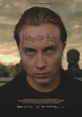 needle boy 2016 poster