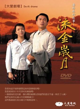 liu jin sui yue 2005 poster