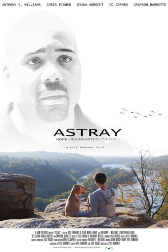 astray 2014 poster